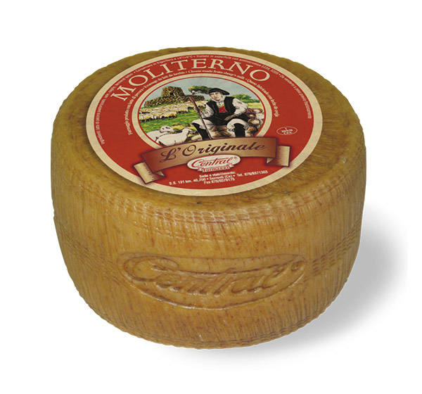 Queso Moliterno